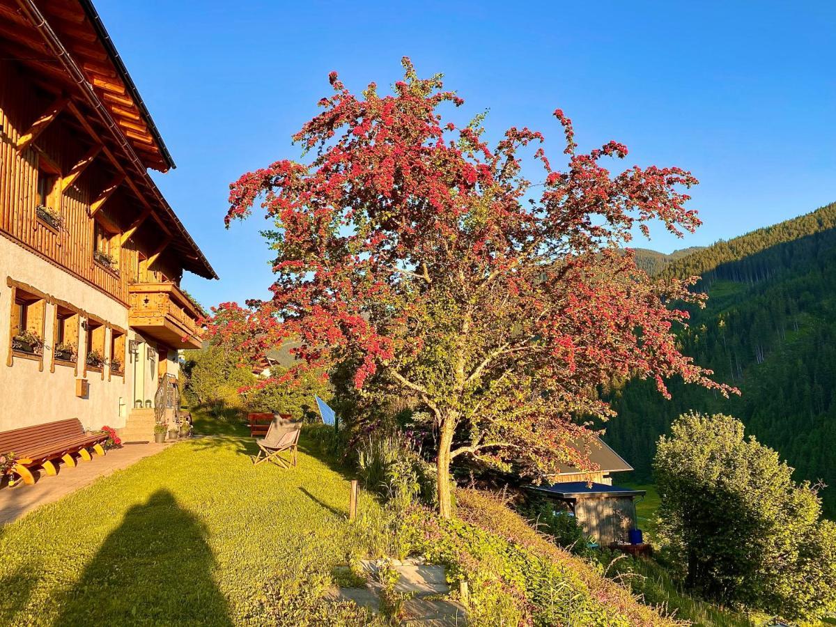Alm Seasons Premium Chalet & Studios Saalbach Exterior foto
