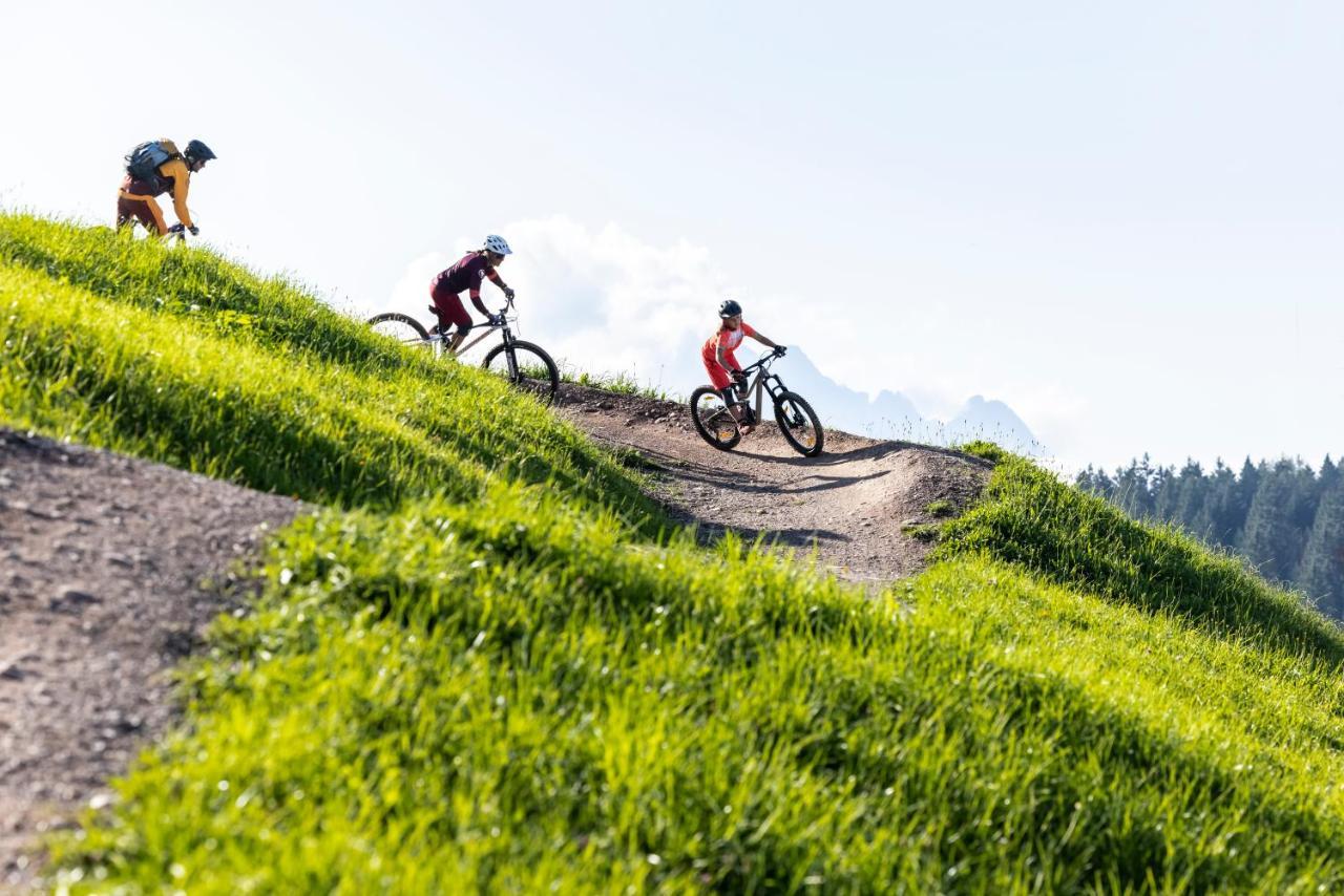 Alm Seasons Premium Chalet & Studios Saalbach Exterior foto