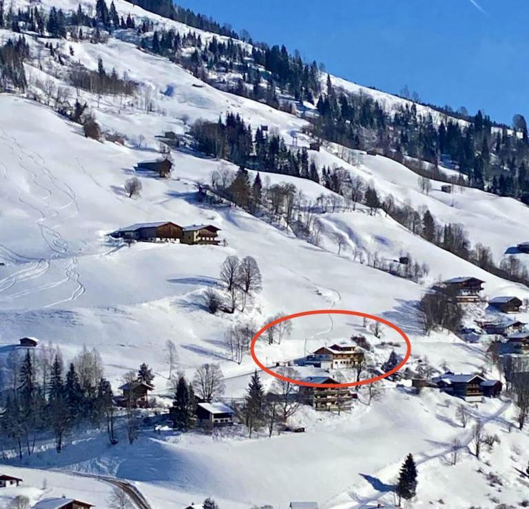 Alm Seasons Premium Chalet & Studios Saalbach Exterior foto
