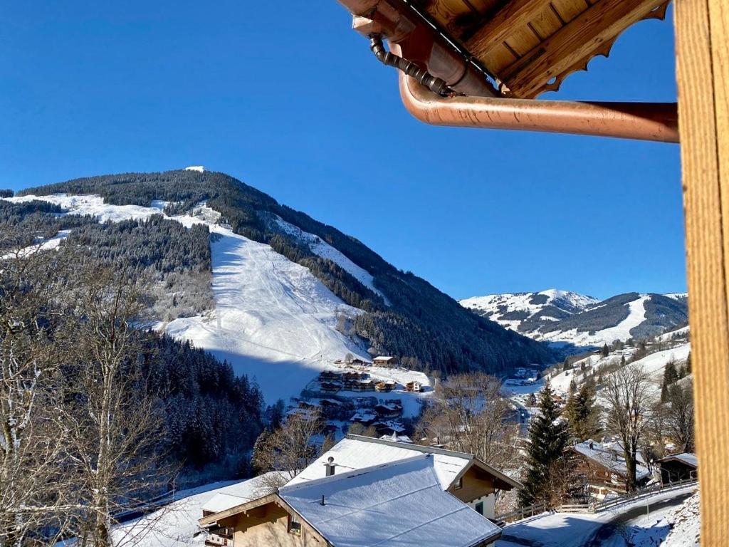 Alm Seasons Premium Chalet & Studios Saalbach Exterior foto